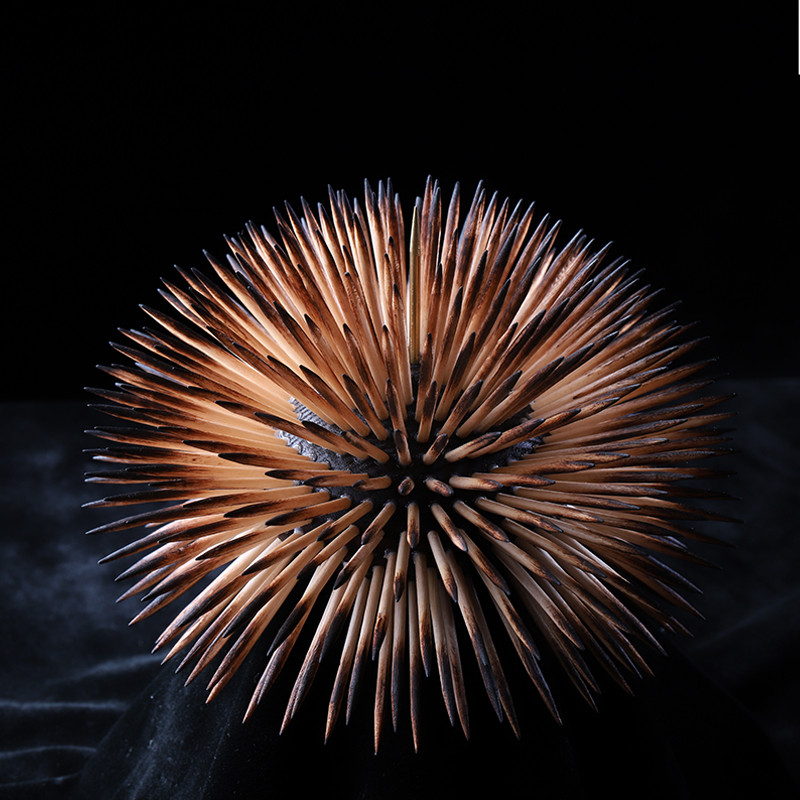 hand made sea urchin ouriço do mar