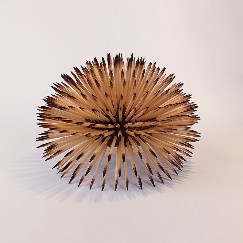 uNi ouriço do mar arte sea urchin art 