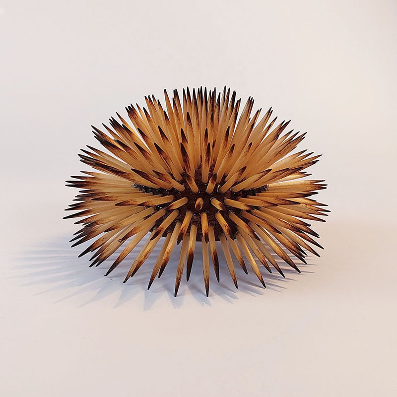uNi ouriço do mar arte sea urchin art 
